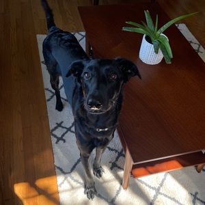 Meet your Posher, Kelsey